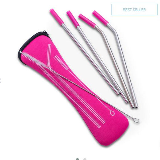 Assorted Eco Straw Set in Handy Pouch - Eco Friendly