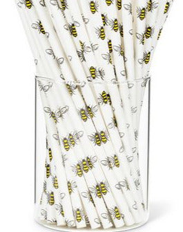 Eco-Friendly Fun Paper Straws - 100 Pieces