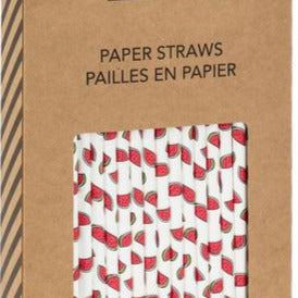 Eco-Friendly Fun Paper Straws - 100 Pieces
