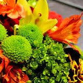 Designer's Choice Seasonal Bouquet