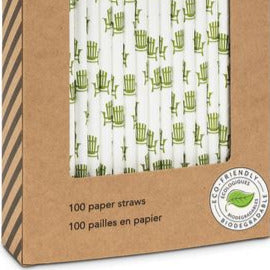 Eco-Friendly Fun Paper Straws - 100 Pieces
