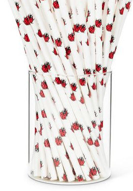 Eco-Friendly Fun Paper Straws - 100 Pieces